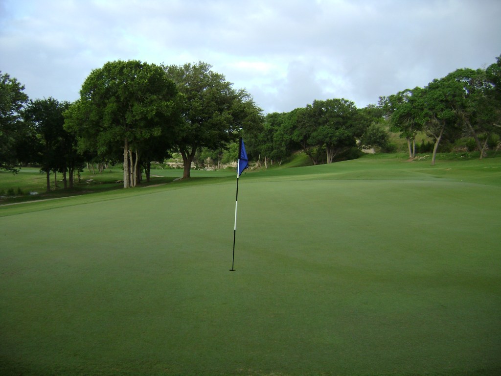 view of course green with blue flagpole